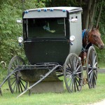 amish-buggy