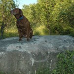 enright_rock2